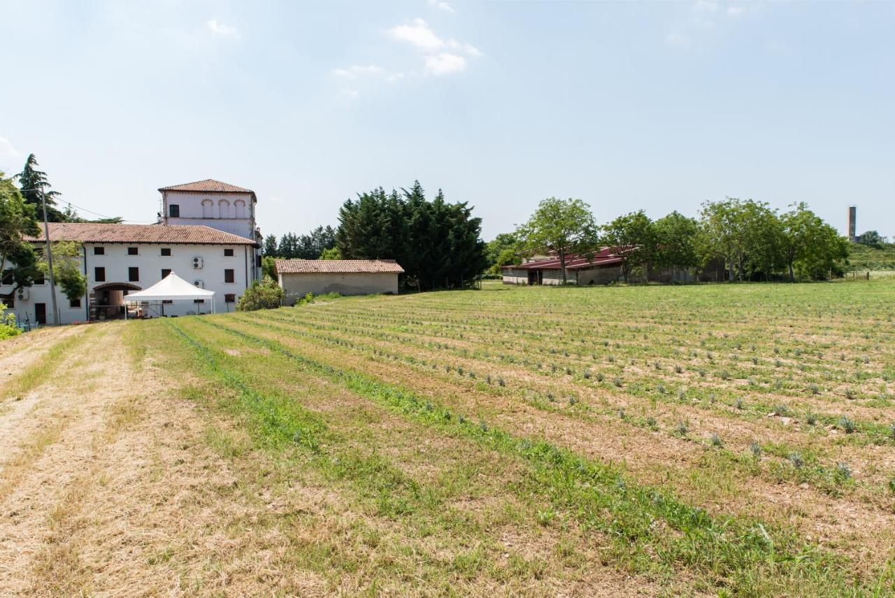 Agriturismo Colombare Teboi ラツィーゼ エクステリア 写真