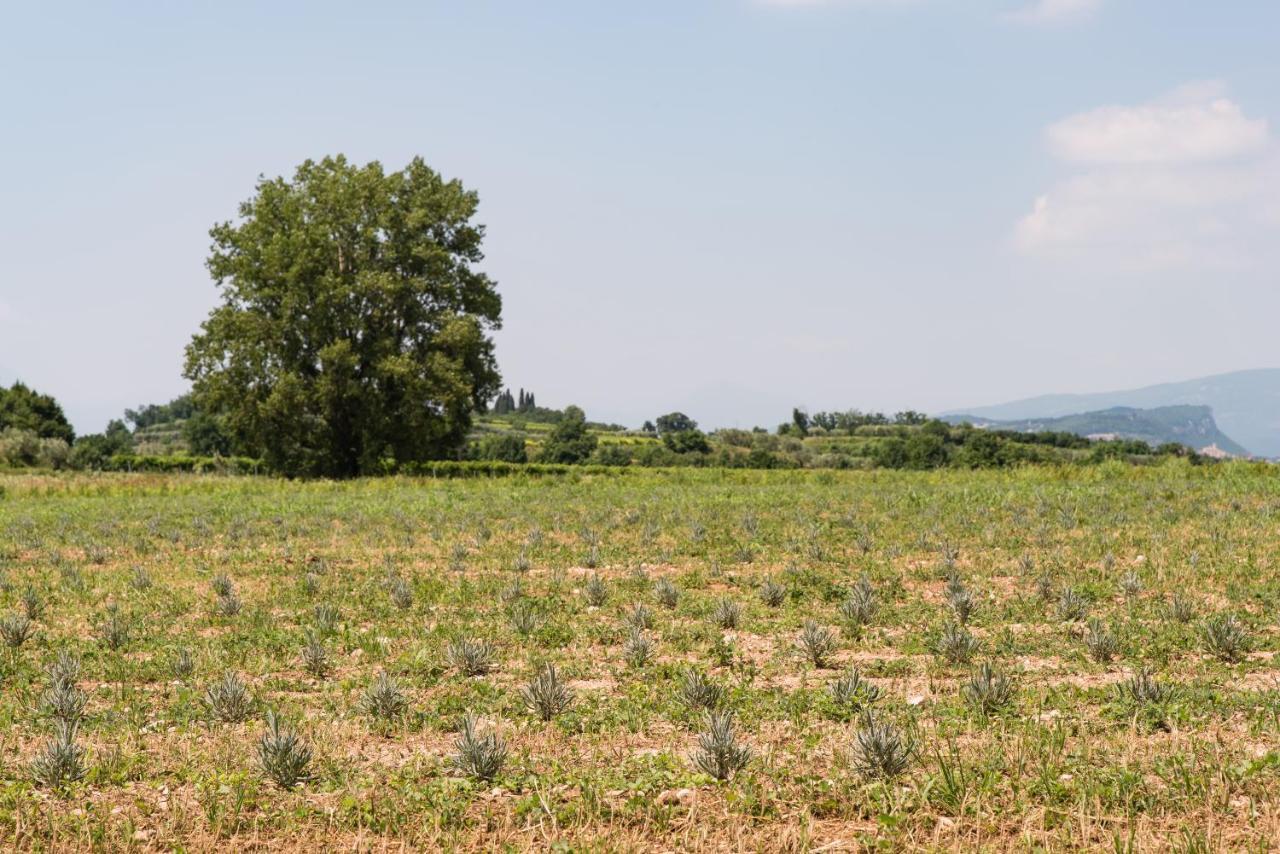 Agriturismo Colombare Teboi ラツィーゼ エクステリア 写真