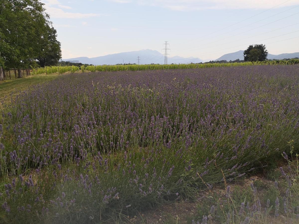 Agriturismo Colombare Teboi ラツィーゼ エクステリア 写真