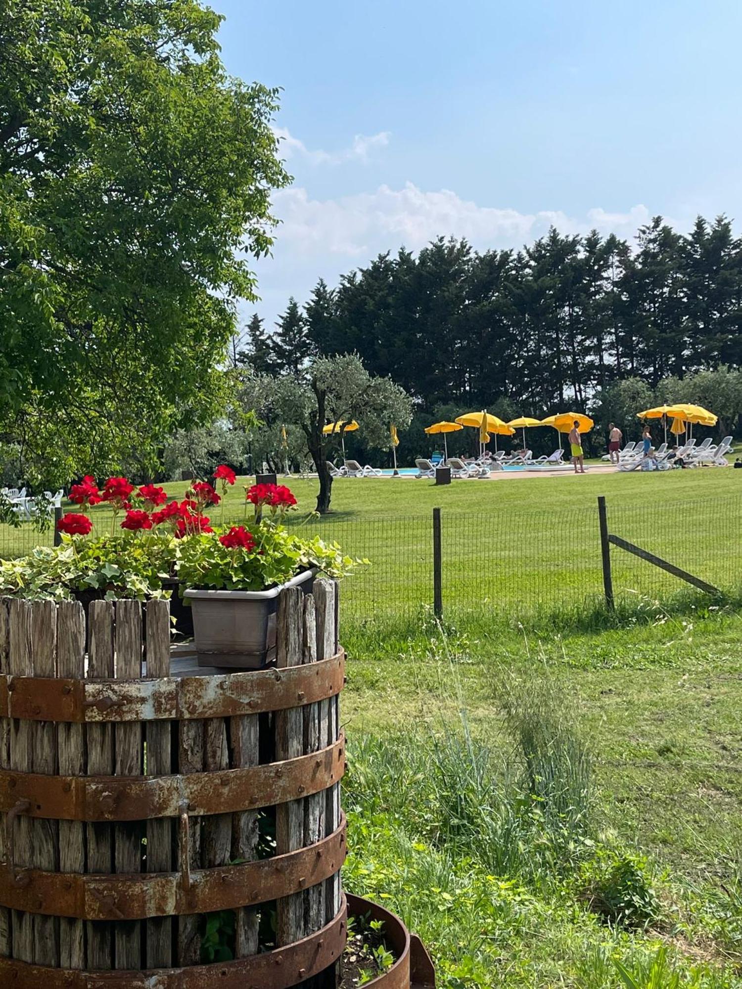 Agriturismo Colombare Teboi ラツィーゼ エクステリア 写真